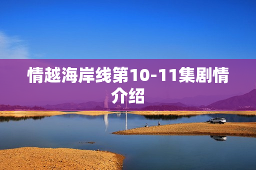 情越海岸线第10-11集剧情介绍