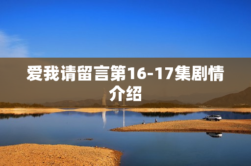 爱我请留言第16-17集剧情介绍