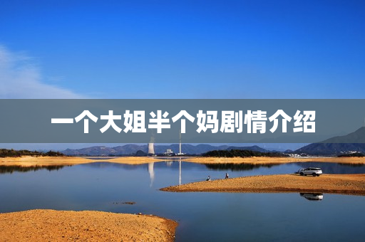 一个大姐半个妈剧情介绍