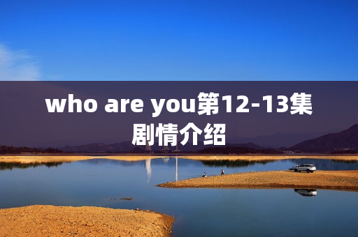 who are you第12-13集剧情介绍 who are you第12-13集剧情介绍