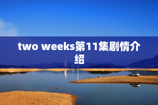 two weeks第11集剧情介绍