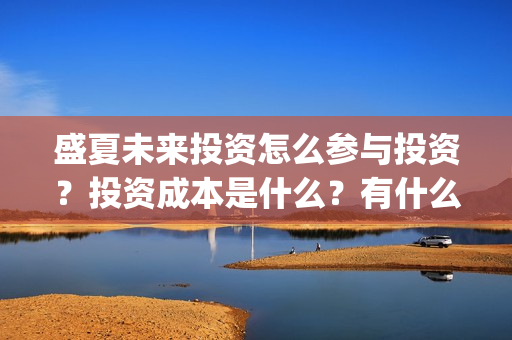 盛夏未来投资怎么参与投资？投资成本是什么？有什么风险？(盛夏未来能投吗)