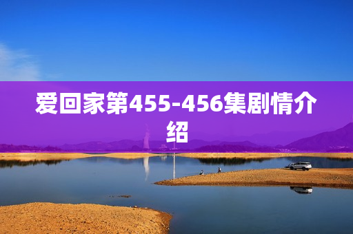 爱回家第455-456集剧情介绍