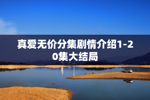 真爱无价分集剧情介绍1-20集大结局