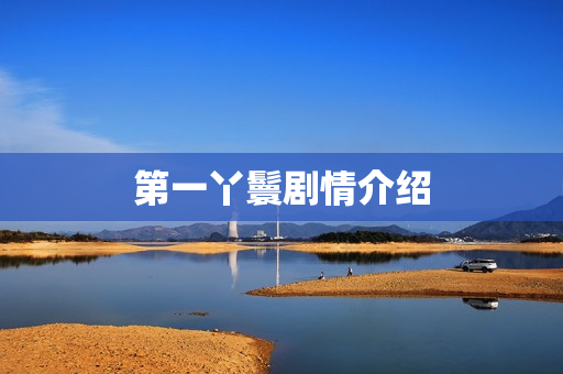 第一丫鬟剧情介绍 第一丫鬟剧情介绍