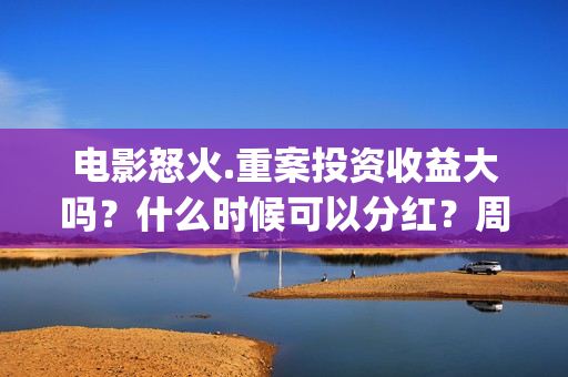 电影怒火.重案投资收益大吗？什么时候可以分红？周期？(电影怒火重案2国语)