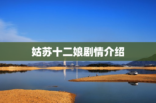 姑苏十二娘剧情介绍