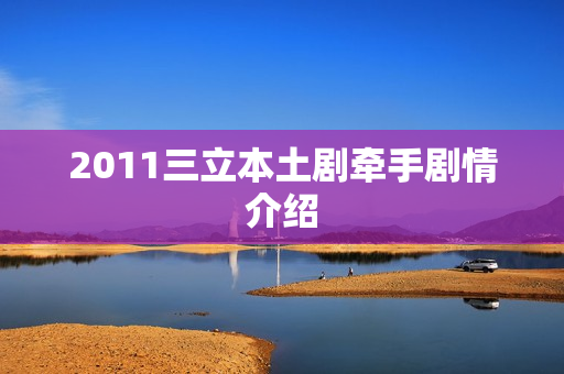 2011三立本土剧牵手剧情介绍