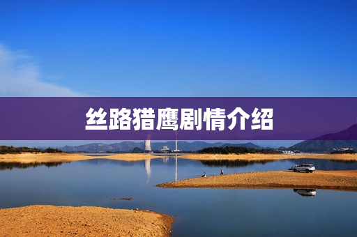 丝路猎鹰剧情介绍