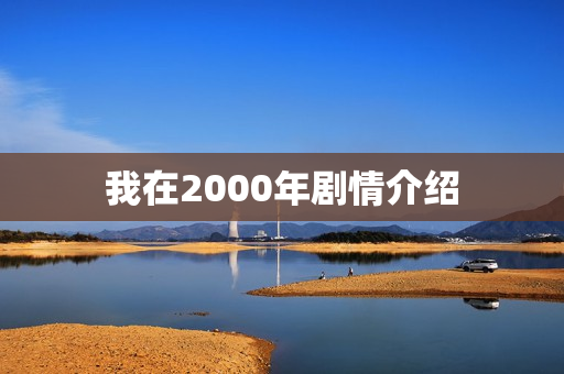 我在2000年剧情介绍