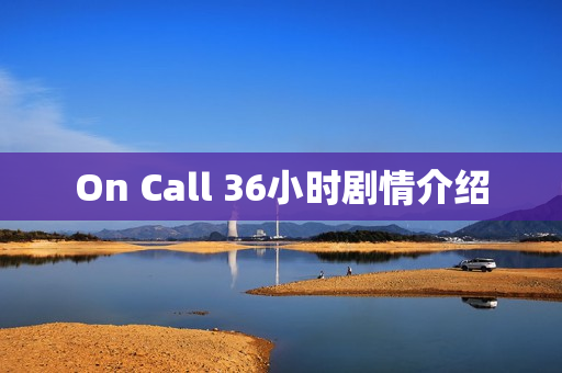 On Call 36小时剧情介绍