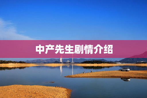 中产先生剧情介绍