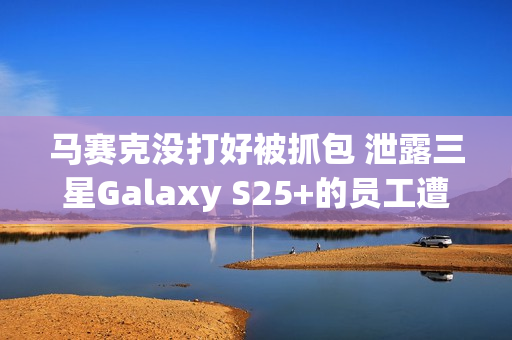 马赛克没打好被抓包 泄露三星Galaxy S25+的员工遭到开除