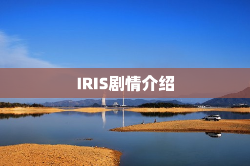 IRIS剧情介绍