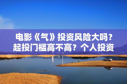 电影《气》投资风险大吗？起投门槛高不高？个人投资赚钱啊？
