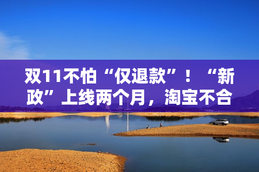 双11不怕“仅退款”！“新政”上线两个月，淘宝不合理“仅退款”全方位得到整治