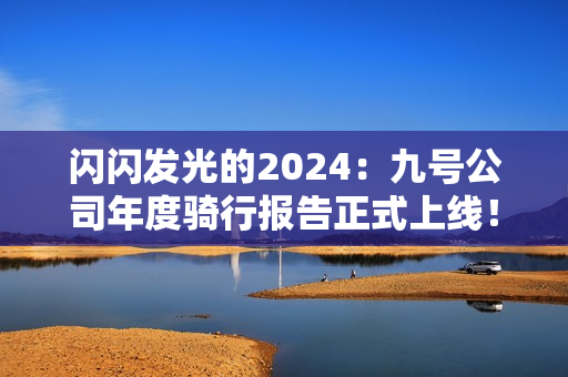 闪闪发光的2024：九号公司年度骑行报告正式上线！