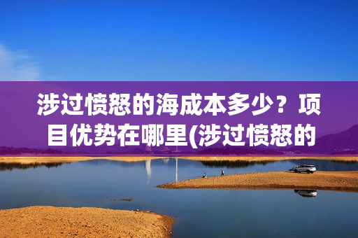 涉过愤怒的海成本多少？项目优势在哪里(涉过愤怒的海没过审)