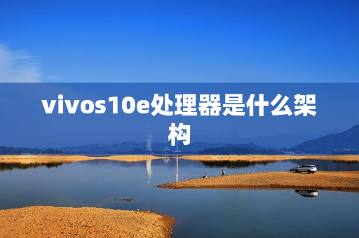 vivos10e处理器是什么架构 vivos10e处理器是什么架构