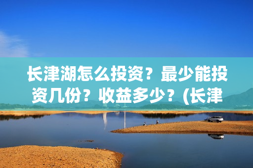 长津湖怎么投资？最少能投资几份？收益多少？(长津湖怎么参与投资)