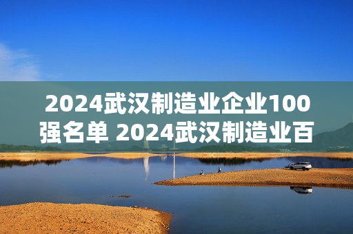 2024武汉制造业企业100强名单 2024武汉制造业百强企业排名