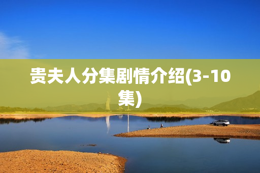 贵夫人分集剧情介绍(3-10集)