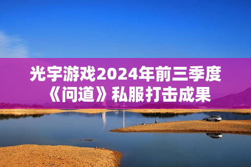 光宇游戏2024年前三季度《问道》私服打击成果
