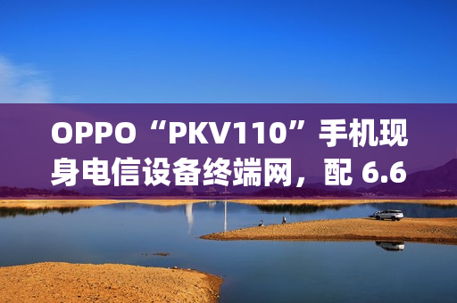 OPPO“PKV110”手机现身电信设备终端网，配 6.67 英寸 1604×720 分辨率屏幕