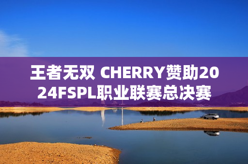 王者无双 CHERRY赞助2024FSPL职业联赛总决赛