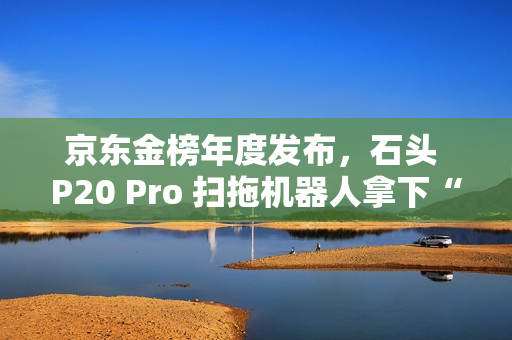 京东金榜年度发布，石头 P20 Pro 扫拖机器人拿下“2024 新品金奖”