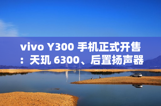 vivo Y300 手机正式开售：天玑 6300、后置扬声器设计，1399 元起