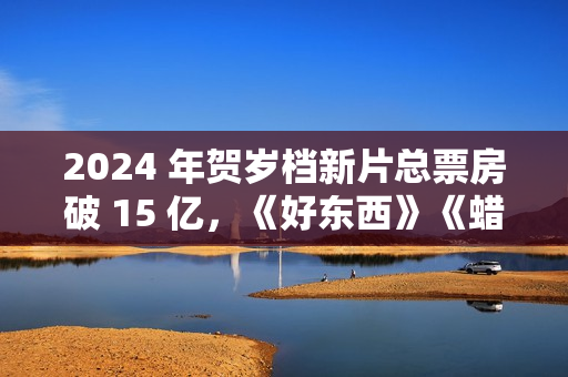 2024 年贺岁档新片总票房破 15 亿，《好东西》《蜡笔小新》《海洋奇缘 2》分列前三