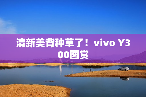 清新美背种草了！vivo Y300图赏