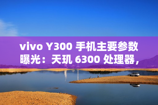 vivo Y300 手机主要参数曝光：天玑 6300 处理器，明日发布