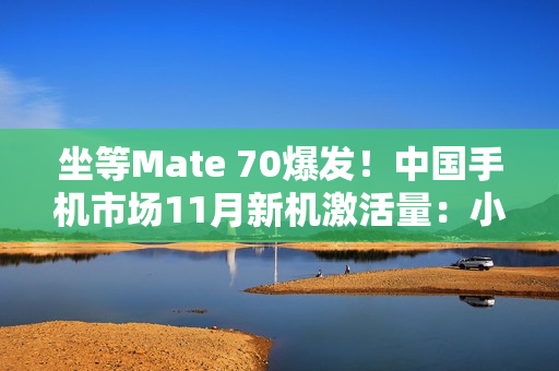 坐等Mate 70爆发!中国手机市场11月新机激活量:小米力压华为、苹果第一 坐等Mate 70爆发!中国手机市场11月新机激活量:小米力压华为、苹果第一
