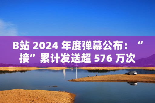 B站 2024 年度弹幕公布：“接”累计发送超 576 万次