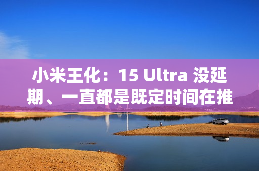 小米王化：15 Ultra 没延期、一直都是既定时间在推进，从来没打算过 1 月发
