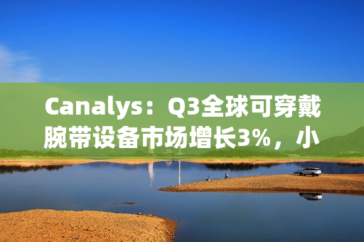 Canalys：Q3全球可穿戴腕带设备市场增长3%，小米和苹果并列第一