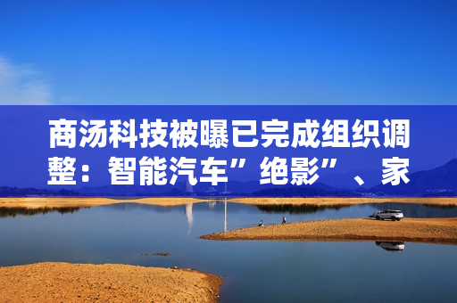 商汤科技被曝已完成组织调整：智能汽车”绝影”、家庭机器人“元萝卜”等业务将拆分为独立公司