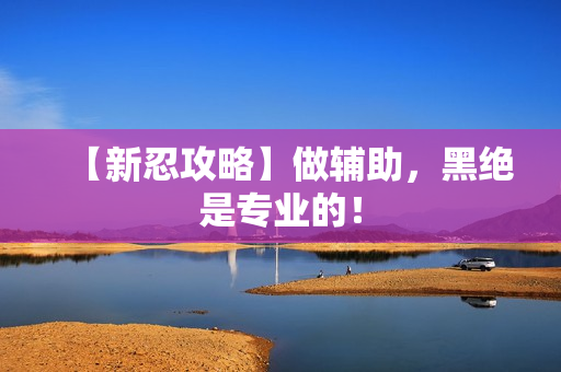 【新忍攻略】做辅助,黑绝是专业的! 【新忍攻略】做辅助,黑绝是专业的!