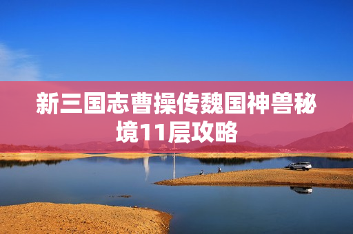 新三国志曹操传魏国神兽秘境11层攻略 新三国志曹操传魏国神兽秘境11层攻略