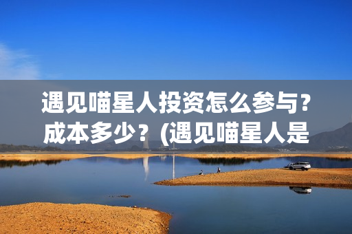 遇见喵星人投资怎么参与？成本多少？(遇见喵星人是哪家公司)