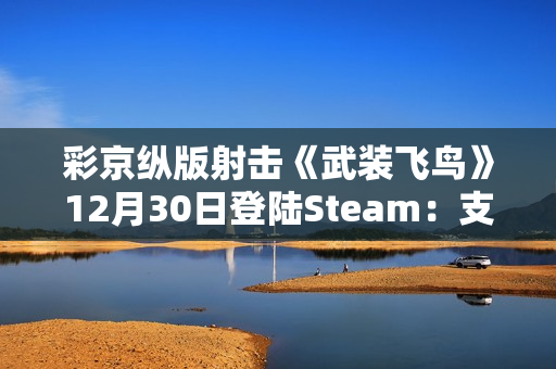 彩京纵版射击《武装飞鸟》12月30日登陆Steam：支持双人游玩，新增在线排行