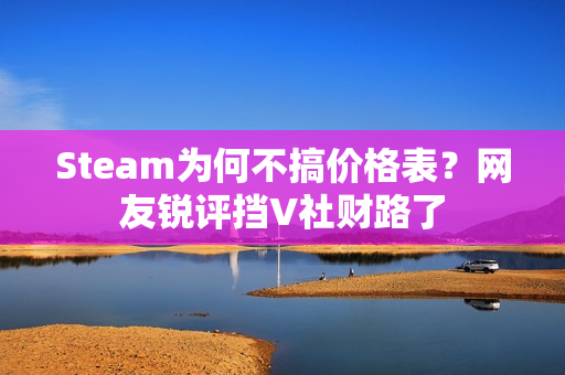 Steam为何不搞价格表？网友锐评挡V社财路了