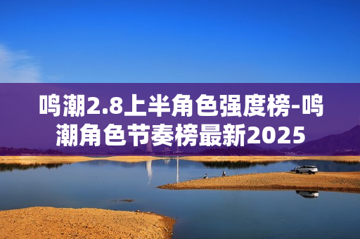 鸣潮2.8上半角色强度榜-鸣潮角色节奏榜最新2025