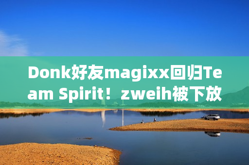 Donk好友magixx回归Team Spirit！zweih被下放至替补