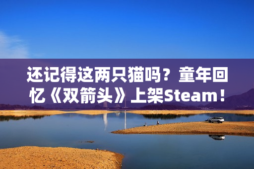 还记得这两只猫吗？童年回忆《双箭头》上架Steam！
