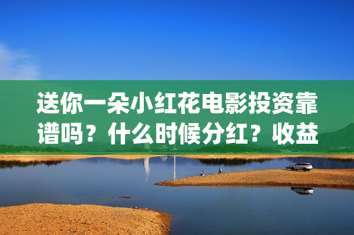 送你一朵小红花电影投资靠谱吗？什么时候分红？收益怎么算(送你一朵小红花结局)