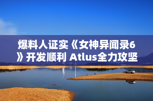 爆料人证实《女神异闻录6》开发顺利 Atlus全力攻坚