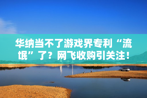 华纳当不了游戏界专利“流氓”了？网飞收购引关注！